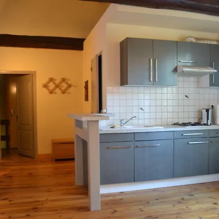 Moulin De Laurent Apartment Saint-Laurent (Lot-et-Garonne)